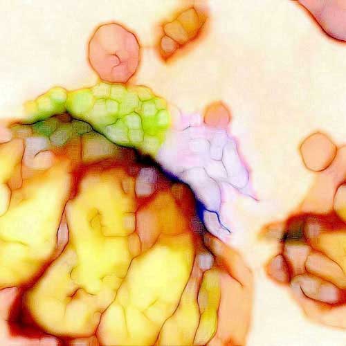 Elmar Diks-Contemporary-Digital-Photo-Art-Exp_3-Fun-Fair_c