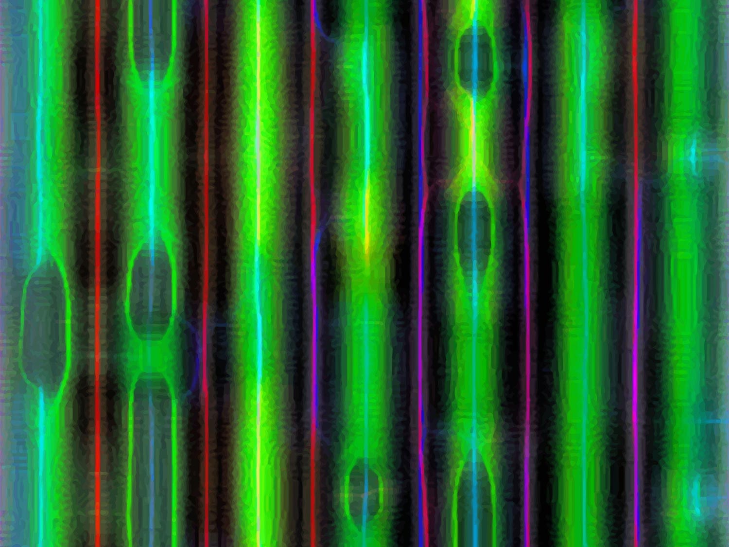 Elmar Diks-Chengdu-Ausstellungseroeffnung-2019-Bild8b